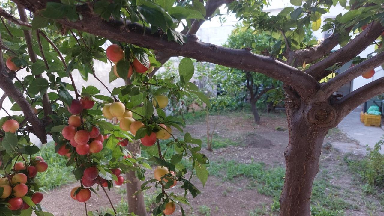 Jonia Appartamento Vacanze Vicino Al Mare Con Giardino بولسانو المظهر الخارجي الصورة