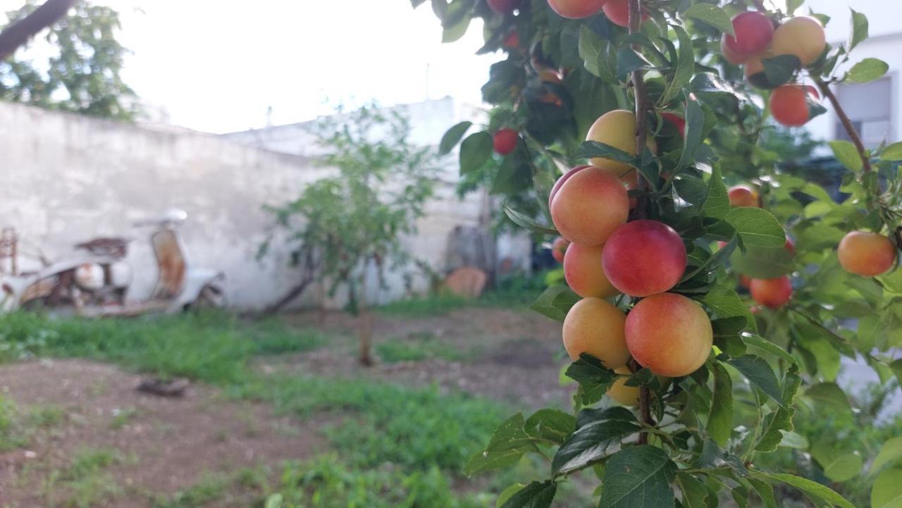 Jonia Appartamento Vacanze Vicino Al Mare Con Giardino بولسانو المظهر الخارجي الصورة
