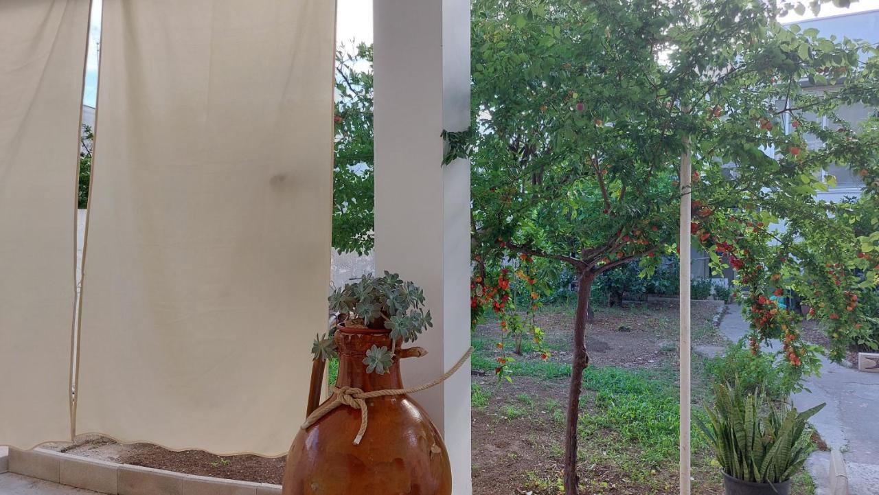 Jonia Appartamento Vacanze Vicino Al Mare Con Giardino بولسانو المظهر الخارجي الصورة