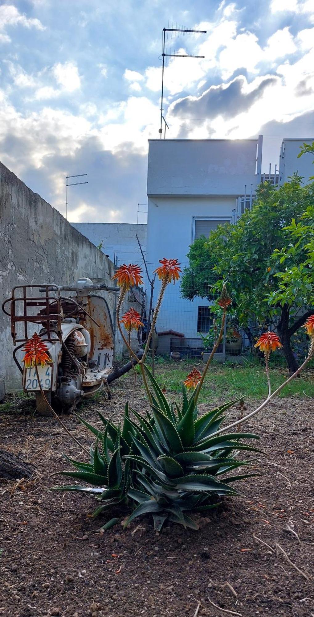 Jonia Appartamento Vacanze Vicino Al Mare Con Giardino بولسانو المظهر الخارجي الصورة